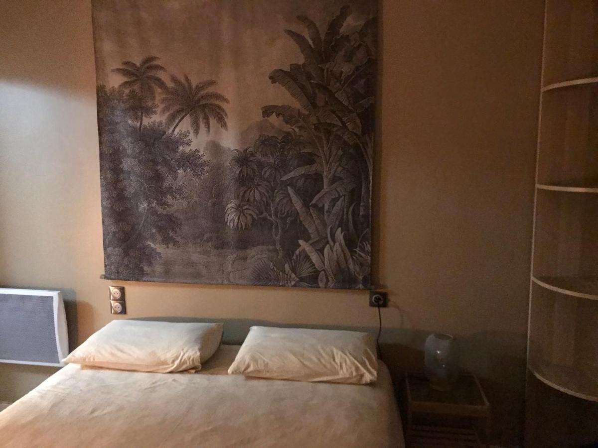 Appartement Entre Ocean Et Montagne 15Bis Avenue De Montbrun 安格雷 外观 照片